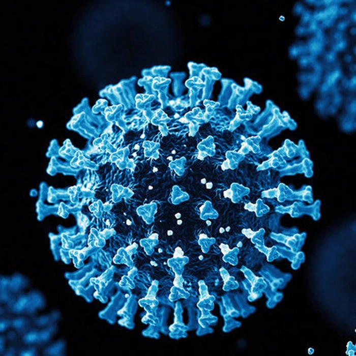 Virus - Giới Khởi Sinh